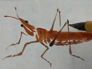 一个视频教会你画草蜢